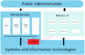 Pmo Implementation At The Shared Services Level Download