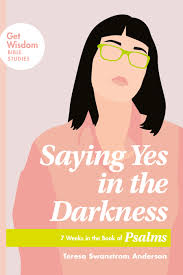 A bold, thrilling debut described as the devil wears prada meets get out ? Navpress Saying Yes In The Darkness