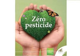 Résultat de recherche d'images pour "zero pesticide"