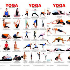 Yoga Chart Combo Pack Volume 1 2 3