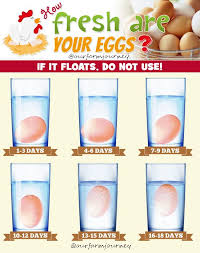 Check spelling or type a new query. How Fresh Are Your Eggs Infograph Eggs Chicken Eggs Cooking Tips