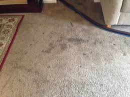 carpet cleaning south san francisco