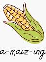 A-maiz-ing Corn Pun" Sticker for Sale by tinasbub | Redbubble