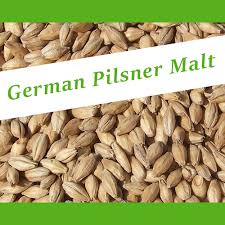 german pilsner malt brewing grains