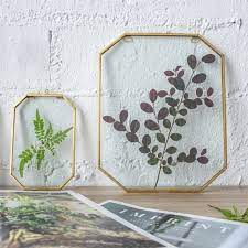 Octagon Herbarium Brass Glass Frame