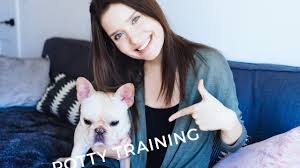 The french bulldog, or frenchie, is a small, domestic dog breed. How To Housebreak And Crate Train A Puppy In 3 Days In Steps Advice From A Dog Trainer Youtube