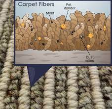 are carpets filtering allergens