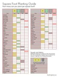 square foot planting guide