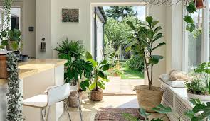Tendencias de decoración con plantas. 7 Plantas De Interiores Para Tu Hogar Le Chat Magazine