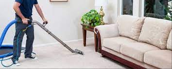 sofa and carpet cleaning services at