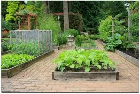 Raised Bed Vegetable Garden Layout Ideas