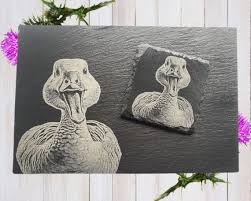 Duck Placemats Uk