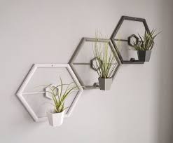 Indoor Wall Planter Air Plant Honeycomb