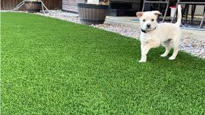 Choosing Artificial Grass For Dogs