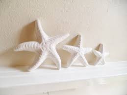 Wall Hanging Starfish Starfish Family
