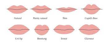clification of the lip shapes