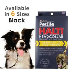 Purina Petlife Halti Black Headcollar 6 Sizes Hootget Com Au