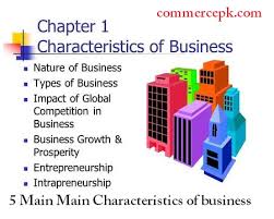 5 main main characteristics of business