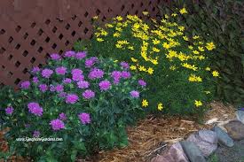 Flower Garden Design Tips For The Home