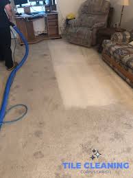 carpet cleaning professionals serving