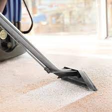 carpet cleaning near south haven mi