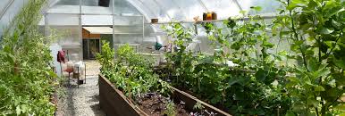 Here are suggestions for how to make three kits: A Greenhouse For Every Budget