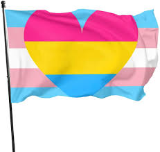 See more ideas about pansexual, pansexual pride, lgbtq pride. Amazon Com Duanduan Transgender Trans And Pan Pansexual Pride Flag Heart Themed Welcome Home House Garden Yard Decor 3 X 5 Ft Jumbo Large Huge Flag Party Outdoor Outside Decorations Ornament Picks