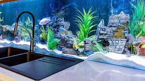 aquarium ideas for living room