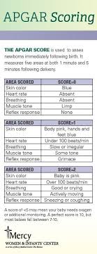 Birthchart Apgar Score Related Keywords Suggestions