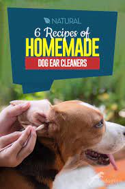 Use gauze or cotton to clean out the gunk that comes out of the ear. How To Make Homemade Dog Ear Cleaner 6 Natural And Simple Recipes
