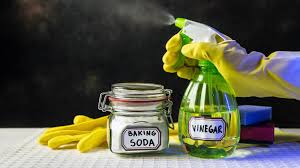 vinegar vs baking soda which is best