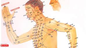 Basic Type Acupressure Points Chart For Acupressure And