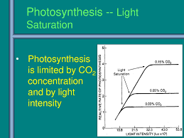 Conversion Of Solar Energy To Chemical Energy Ppt Download