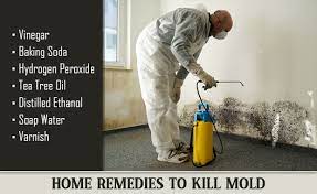 home remes to get rid of mold