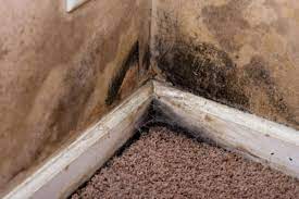6 Causes Of Basement Moisture How To