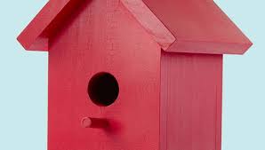 How To Build An Easy 1 Board Bird House