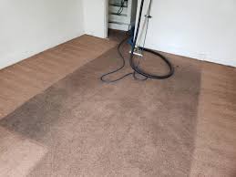 carpet cleaning window cleaning