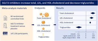 sglt2 inhibition increases total ldl