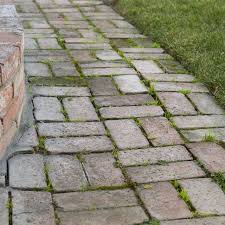 Remove Mold And Algae From Brick Pavers