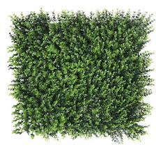 Artificial Grass Plants 5 Years