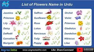 Maybe you would like to learn more about one of these? List Of Flowers In English With Urdu Hindi Meaning Flowers List With Pictures