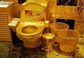 Donald trump's fifth avenue penthouse in the trump tower includes many nicely gilded furnishings, but no solid gold toilet. Pin On Toilet Ideas Toilet Modern Toilet Diy Toilet Ideas Decor Toilet Styles Toilet Style Design