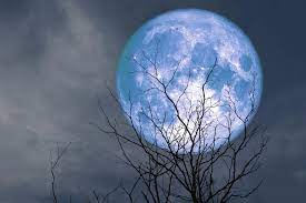 Don't Miss: Super Blue Moon