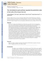 pdf the retilastoma gene pathway