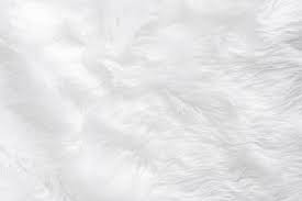 white fur carpet images browse 41 096
