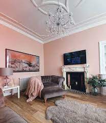 Modern Grey And Pink Living Room Ideas
