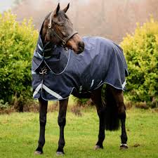 redpost s guide to horseware rugs