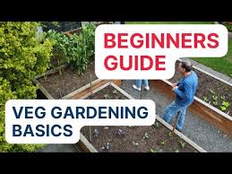 Beginner Vegetable Gardening Guide 3