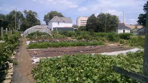 urban agriculture in ohio cfaes