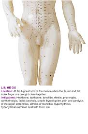 interactive acupuncture chart